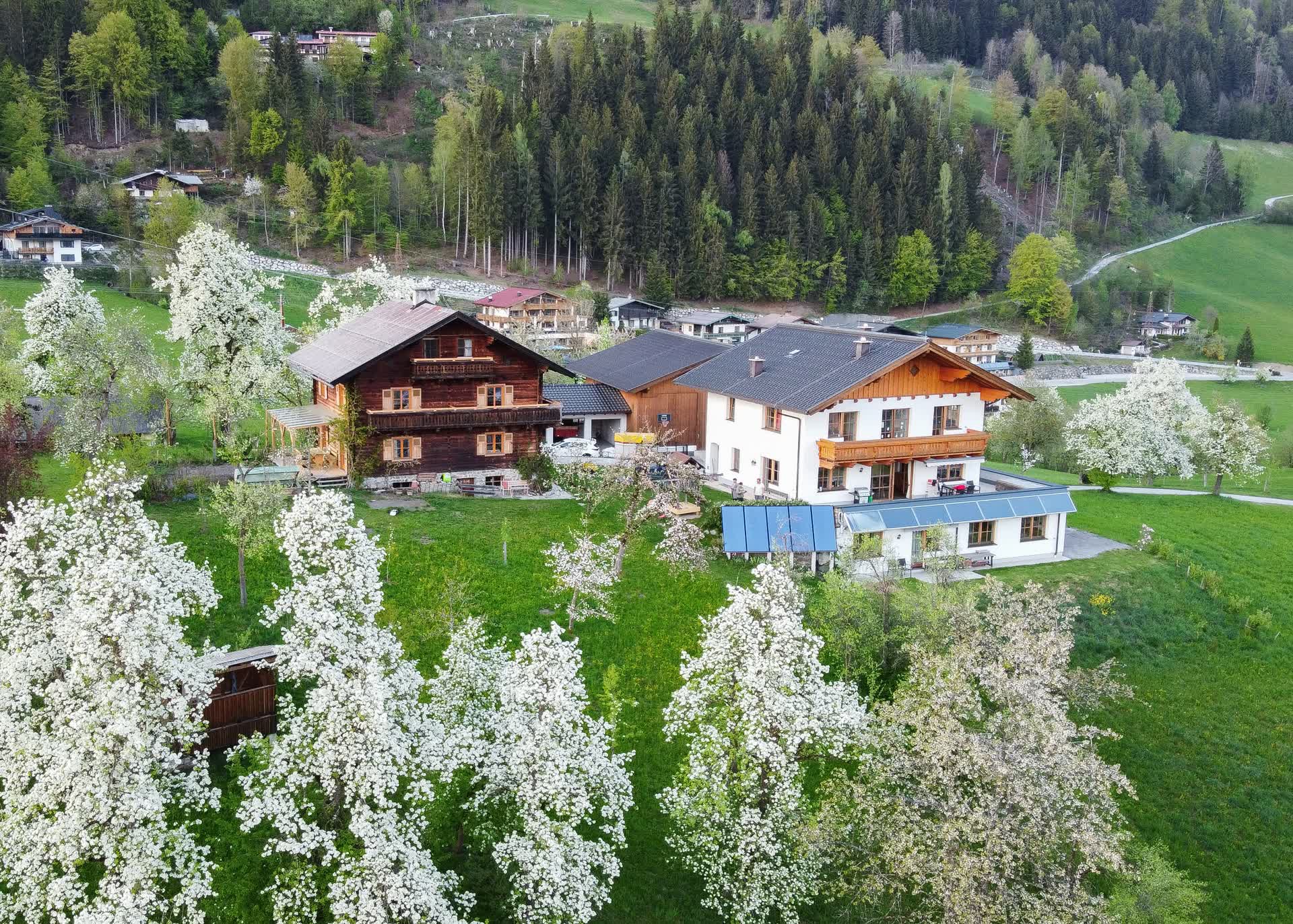 Bognerhof